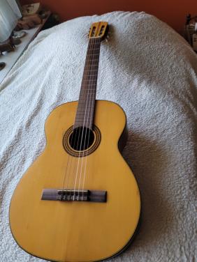 Gitaar