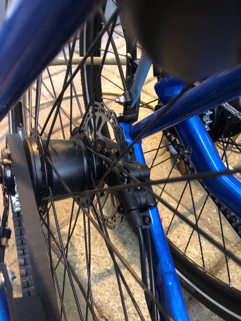 Batavus dinsdag exclusieve riem