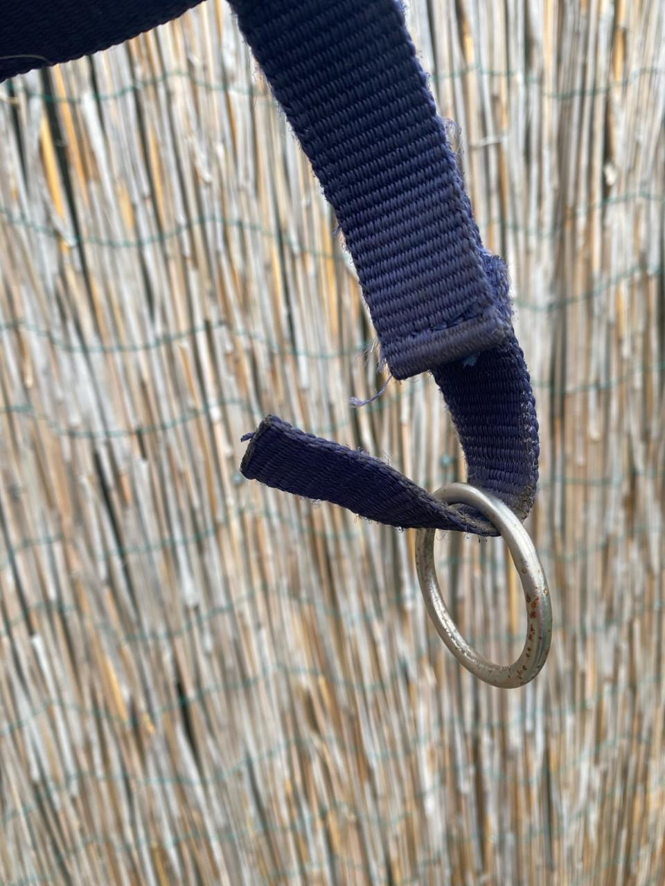 Gratis halsters full en cob