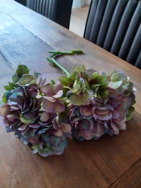 Hortensia twee stuks geen koeriersdiensten