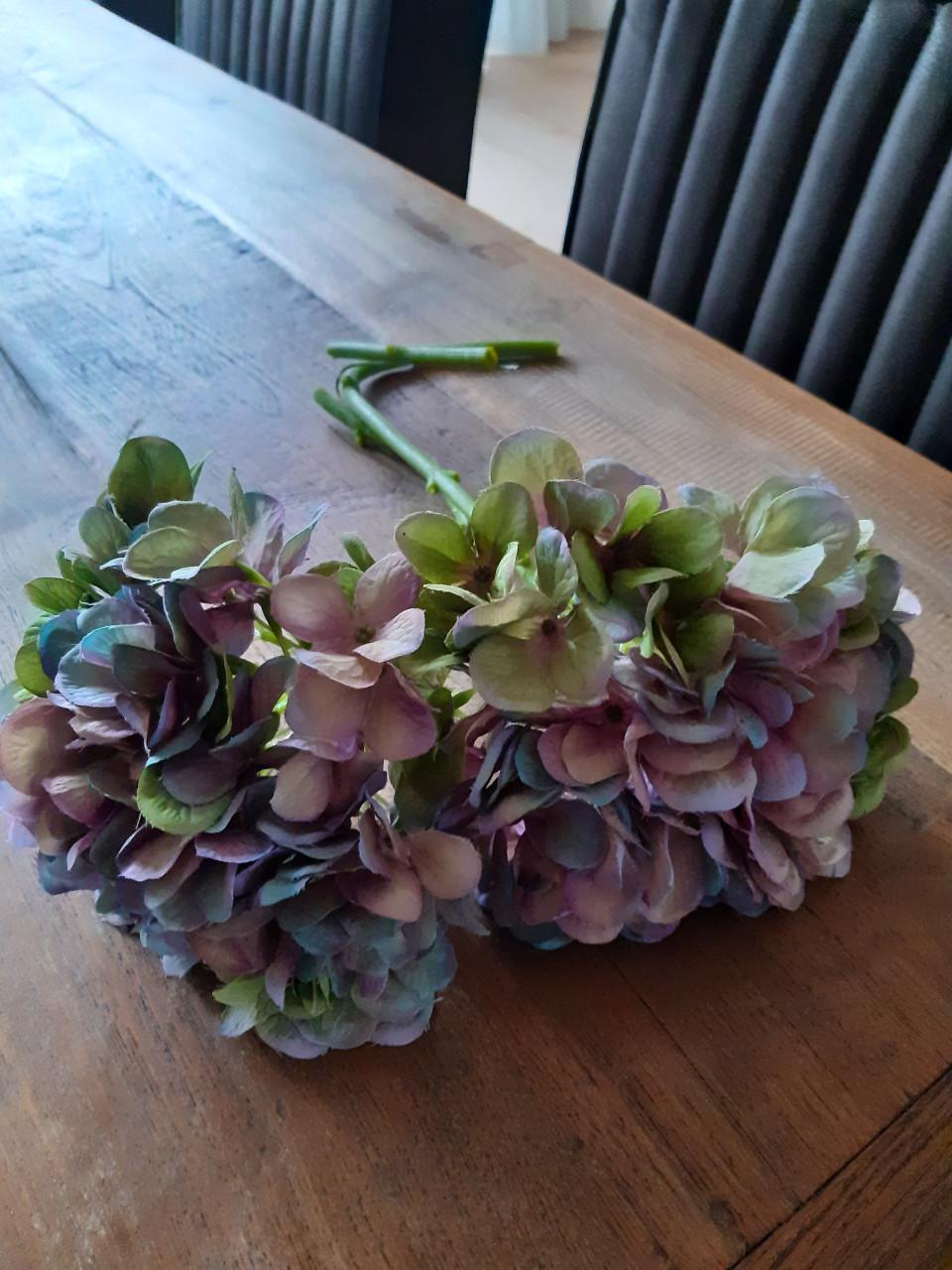 Hortensia twee stuks geen koeriersdiensten