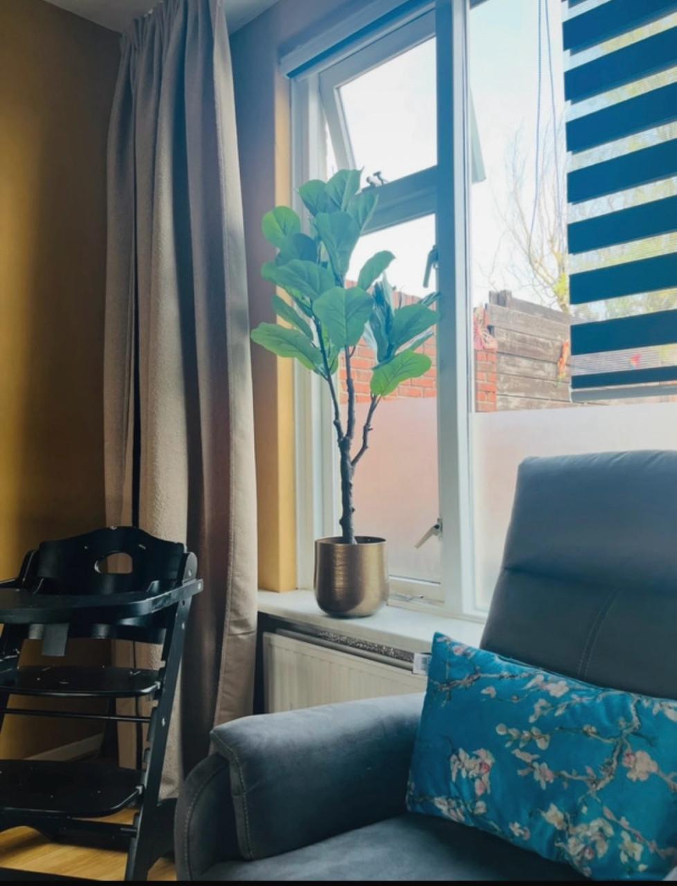 Gordijnen van kwantum nieuw met haakjes