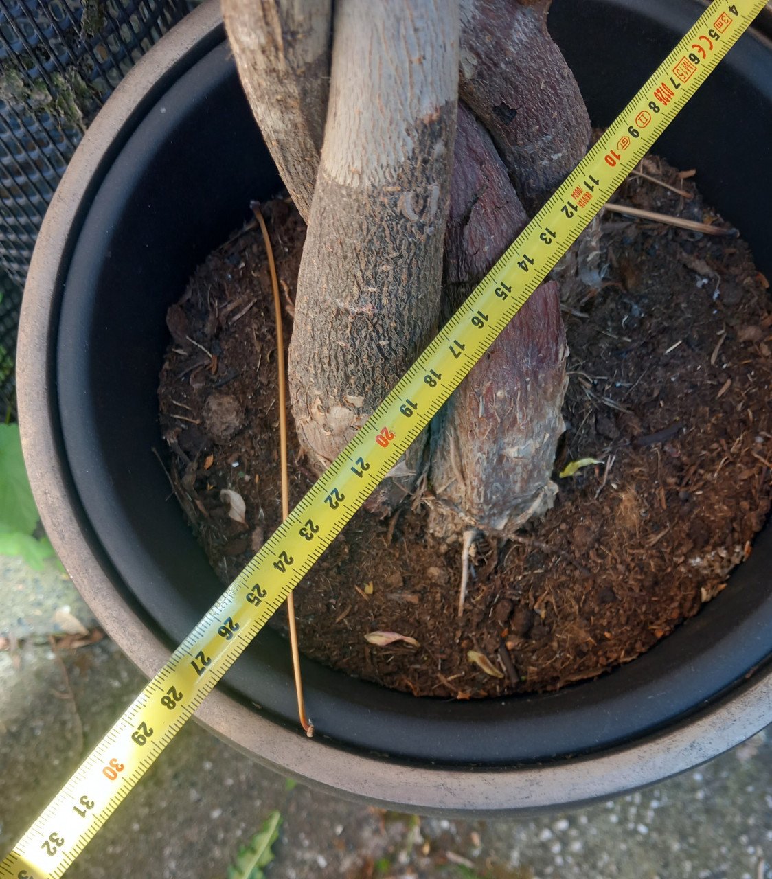Mooie plantenpot!