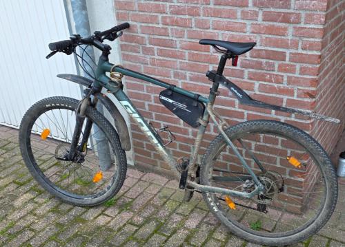 Mountainbike Giant Talon 3 29er 2021, maat XXL