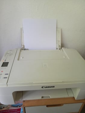 Printer Canon TS3151 ratelt