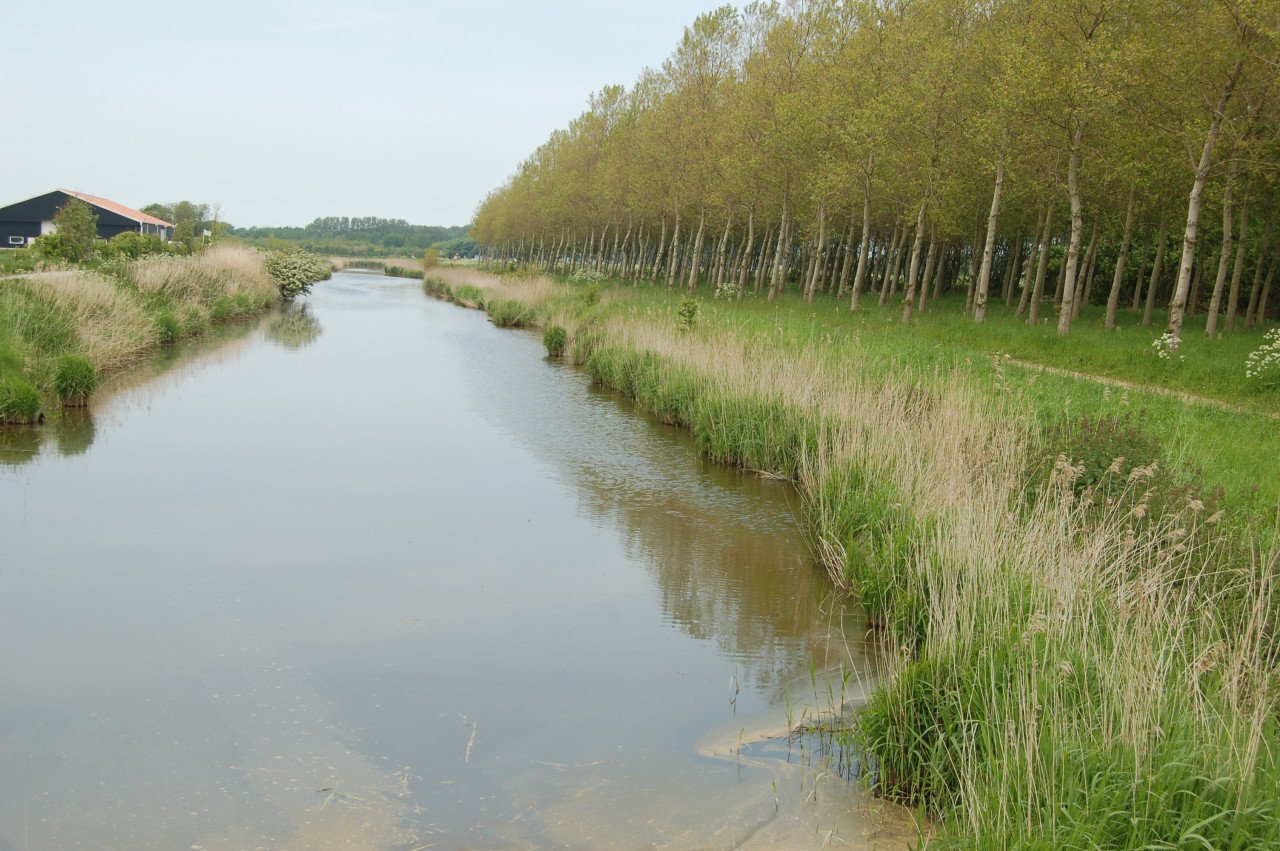 Hengelsport in Koudekerke Biggekerke Hoogelande Souburg Noord / Verdilaan