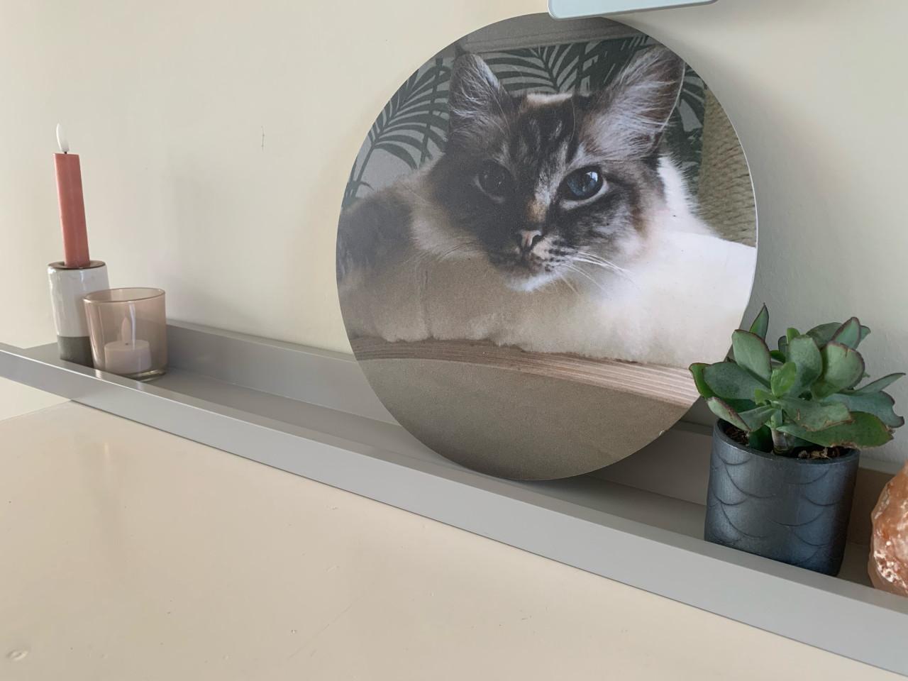 Wandplank van het metk Woood