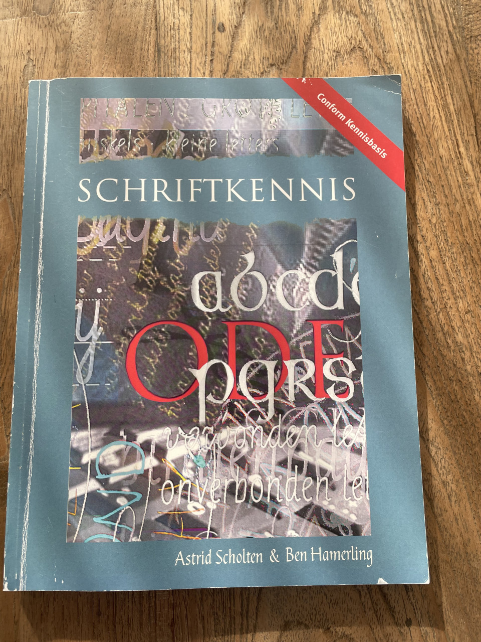 Schriftkennis pabo studieboek