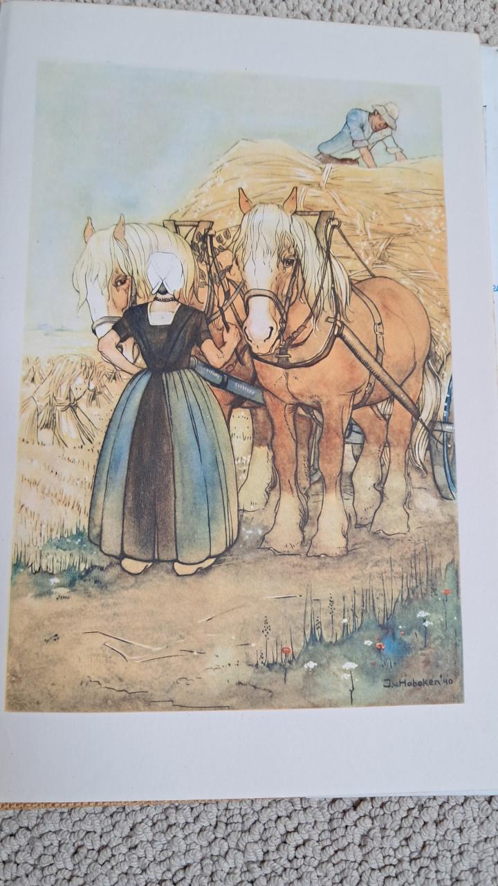 Zeeland boeken zeeland Zeeuwse streekromans 5 bekende boeken