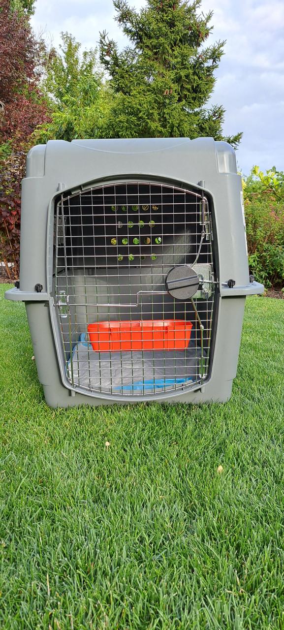 Te koop gevraagd Hondenbench voor vliegreis