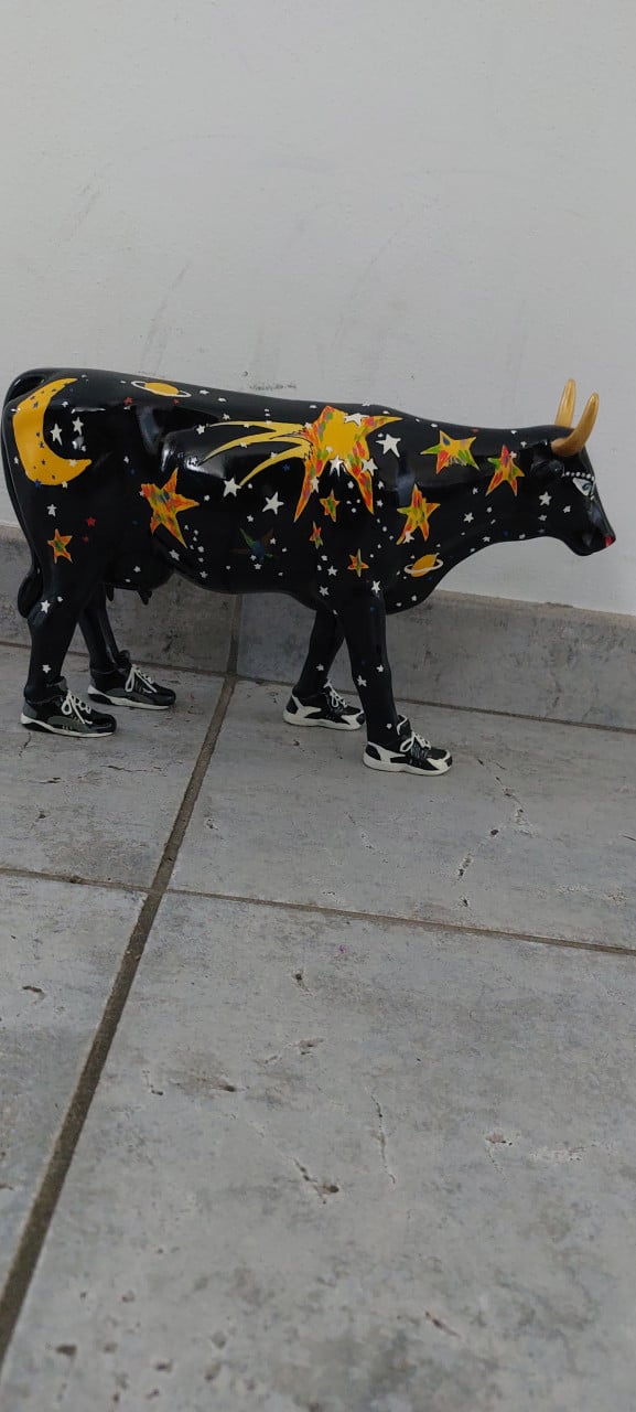 Zwarte stenen koe