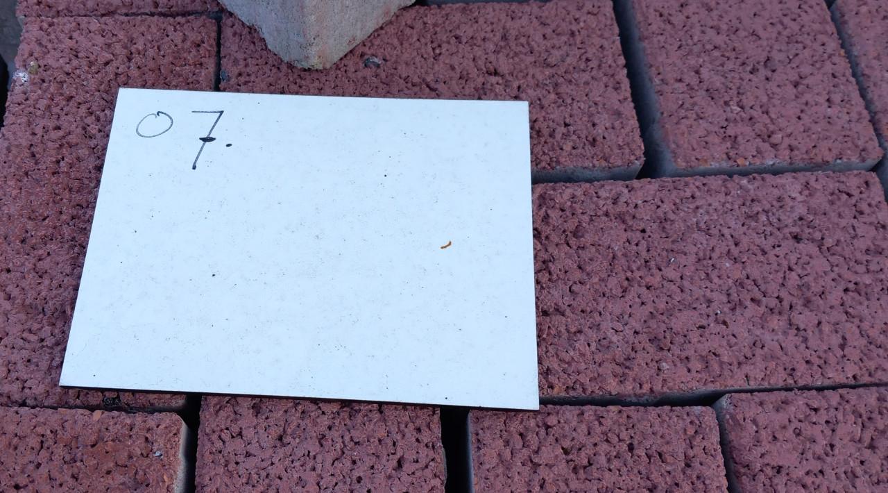 **STRAATKLINKER ROOD** (07)