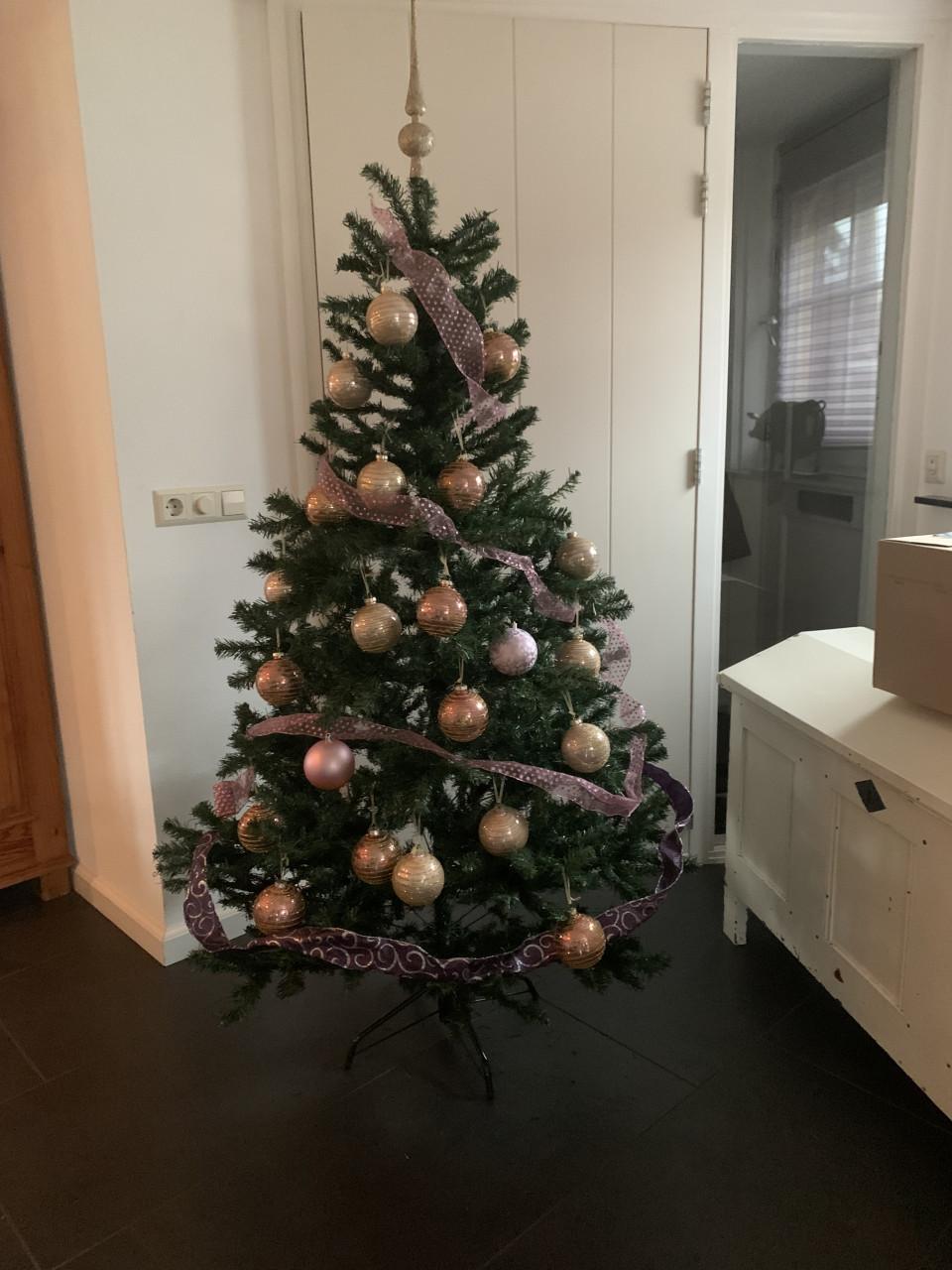 Kerstboom 1. 80 m hoog