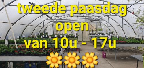 Tuinplanten OUDELANDE