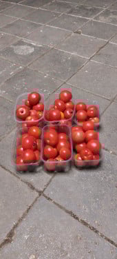 Tomaten