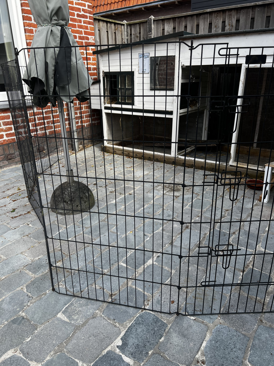 Gratis konijnenvoer en ren