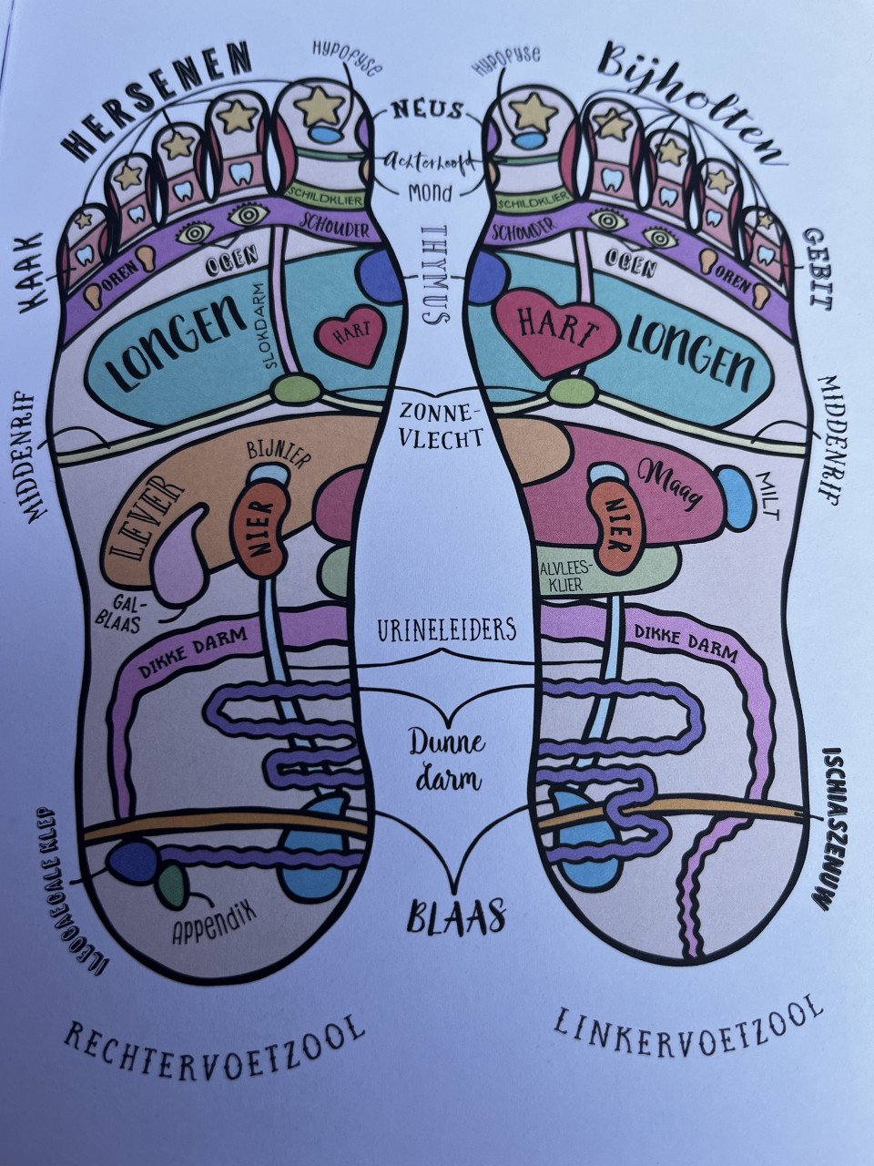 Voetreflexologie