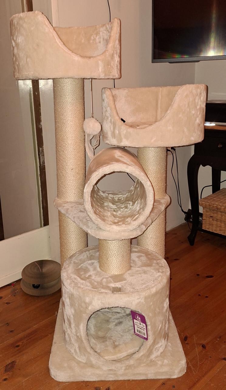 PETREBELS KRABPAAL VICTORIA 125