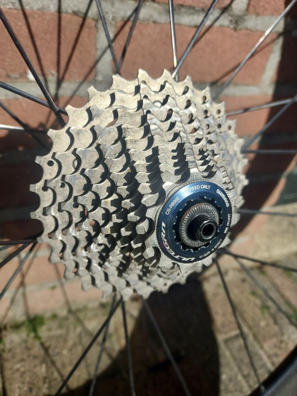 FFWD fast forward velgen racefiets