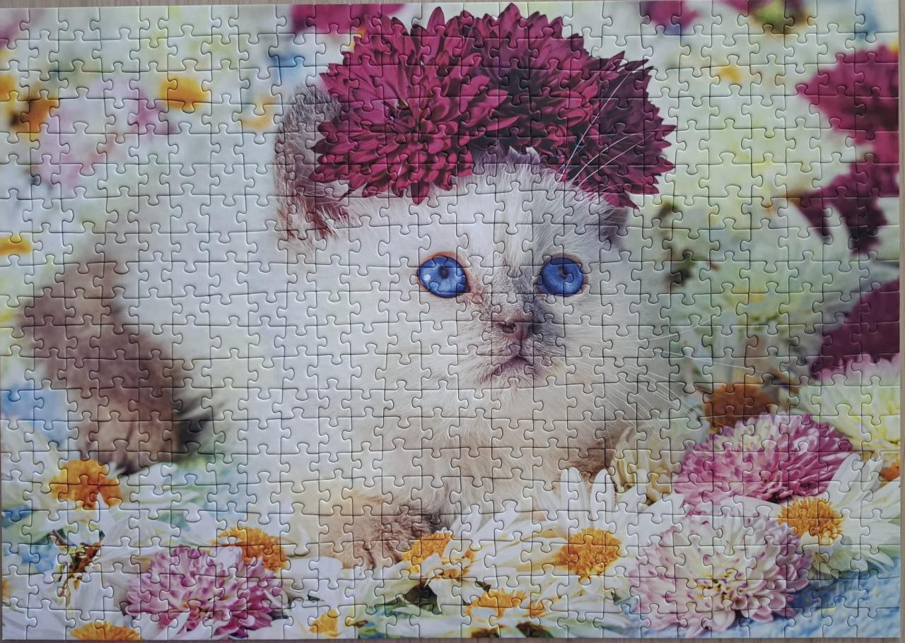 3 kattenpuzzels