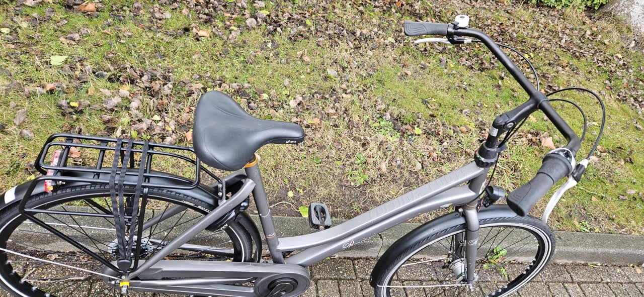 Cortina Roots Damesfiets 55 cm