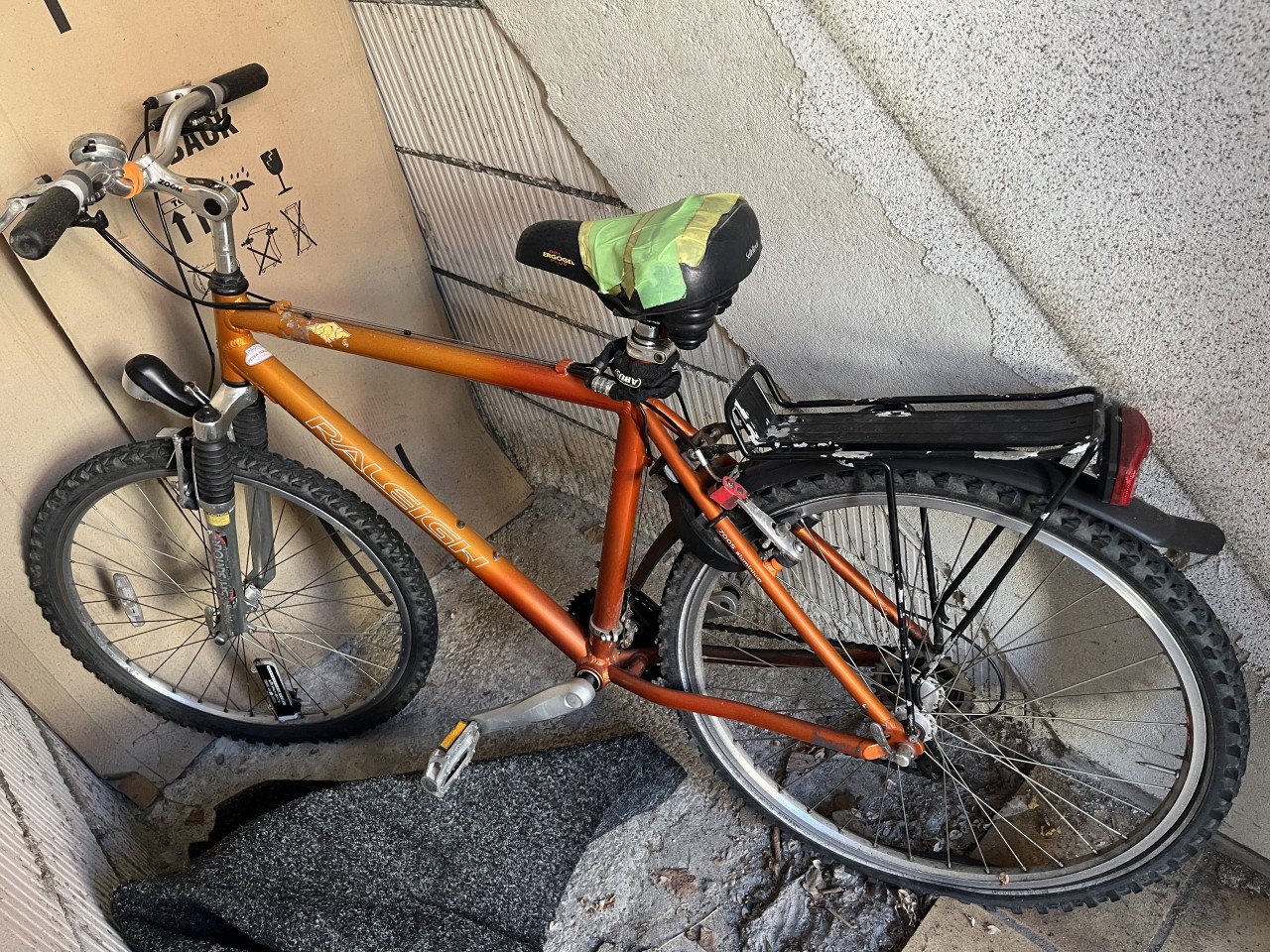 Raleigh Mountainbike Kind
