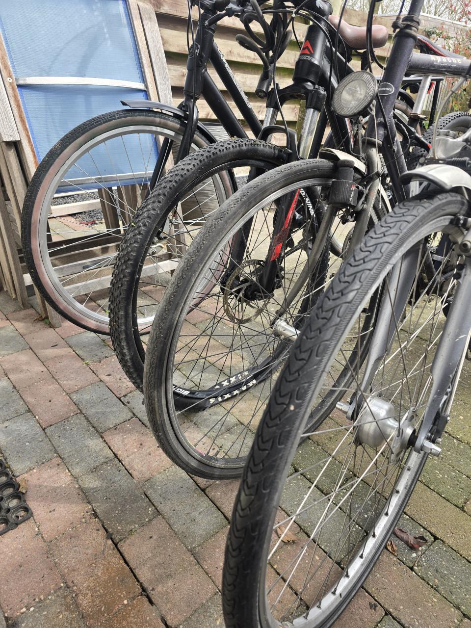 Fietsen Koga, Merida, Batavus, Gazelle