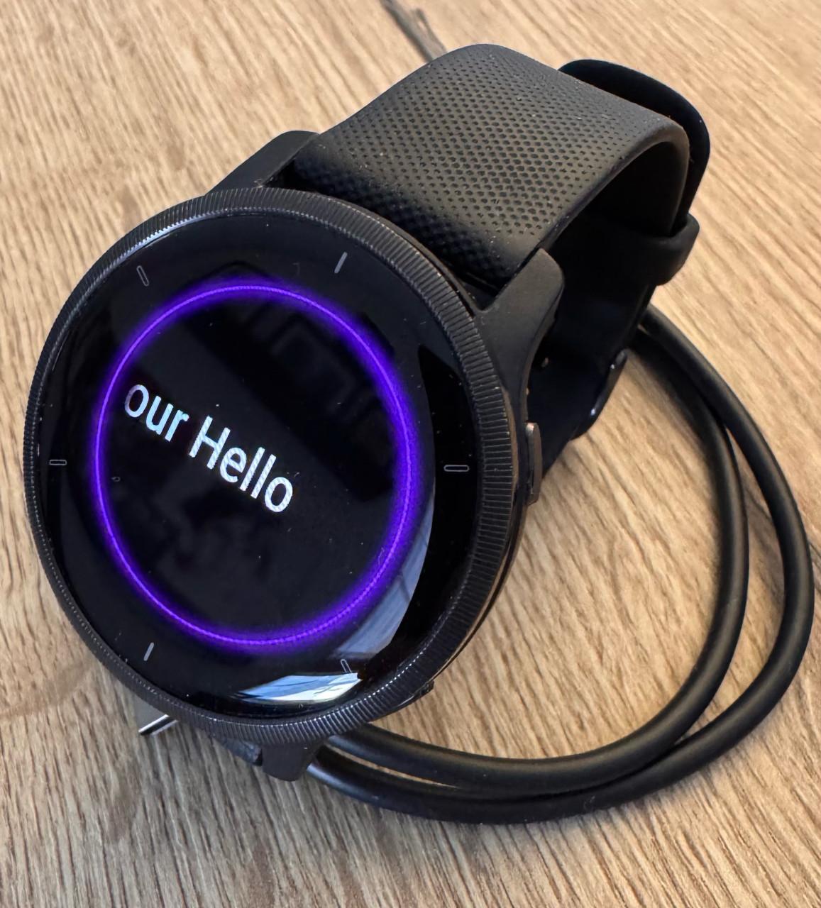 GARMIN Smartwatch Venu 2