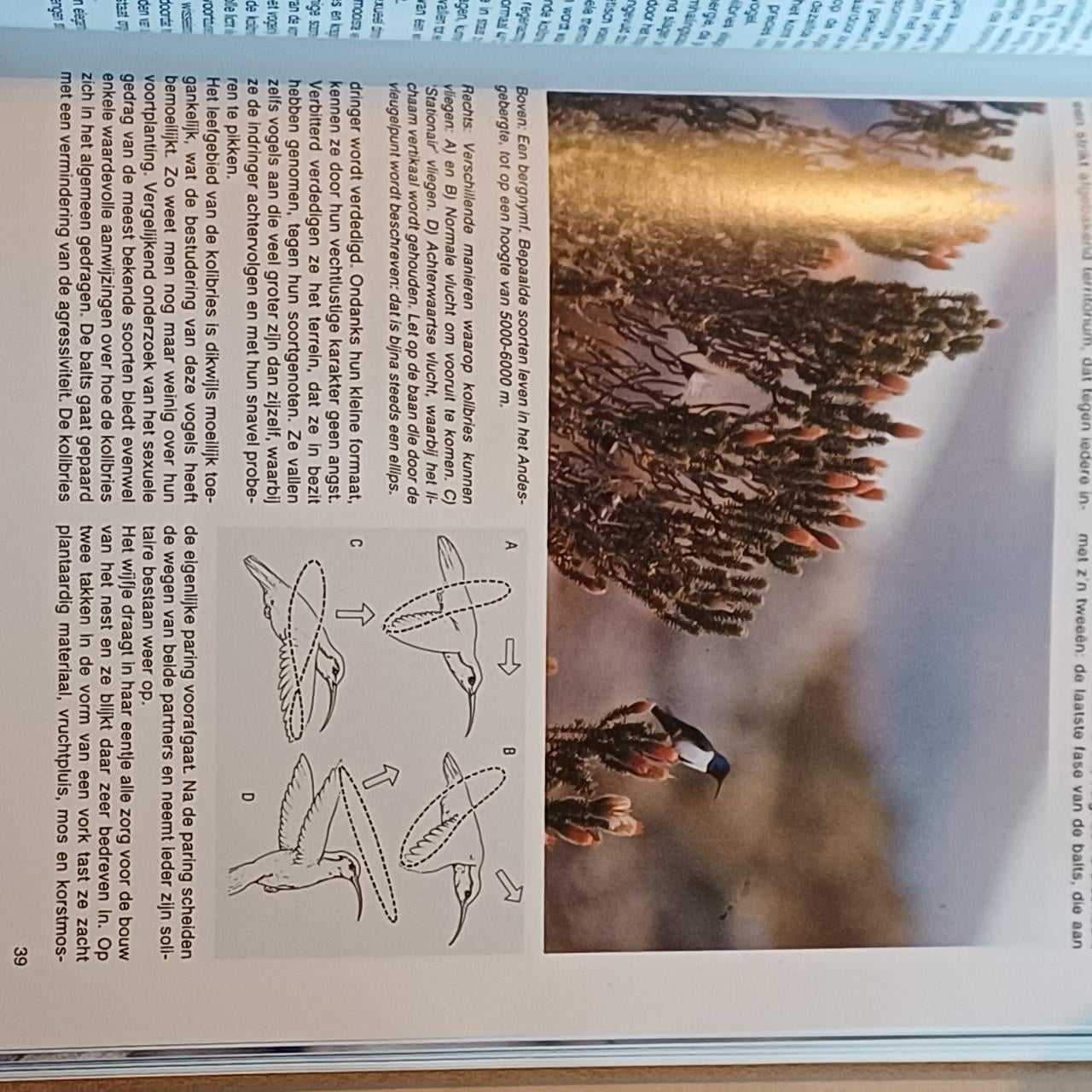 Natuur Encyclopedie