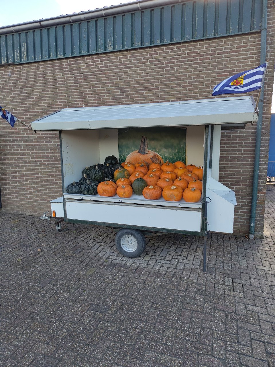 Pompoenen en kalebassen