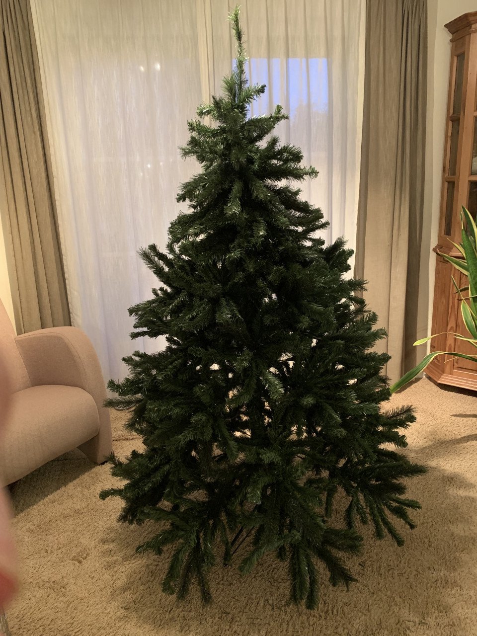 Kerstboom