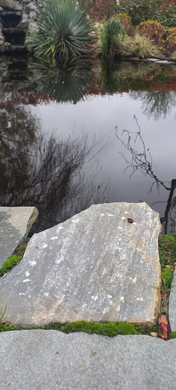 Natuursteen Rock Solid Blue Flagstones- cia.10m2