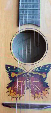 Vintage Gitaar