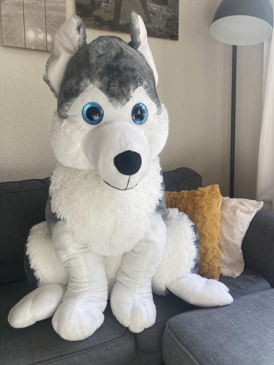 Reuze knuffel Husky