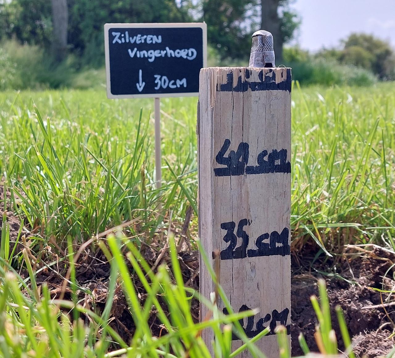 Cursusdagen metaaldetectie voor op landlocaties en strand