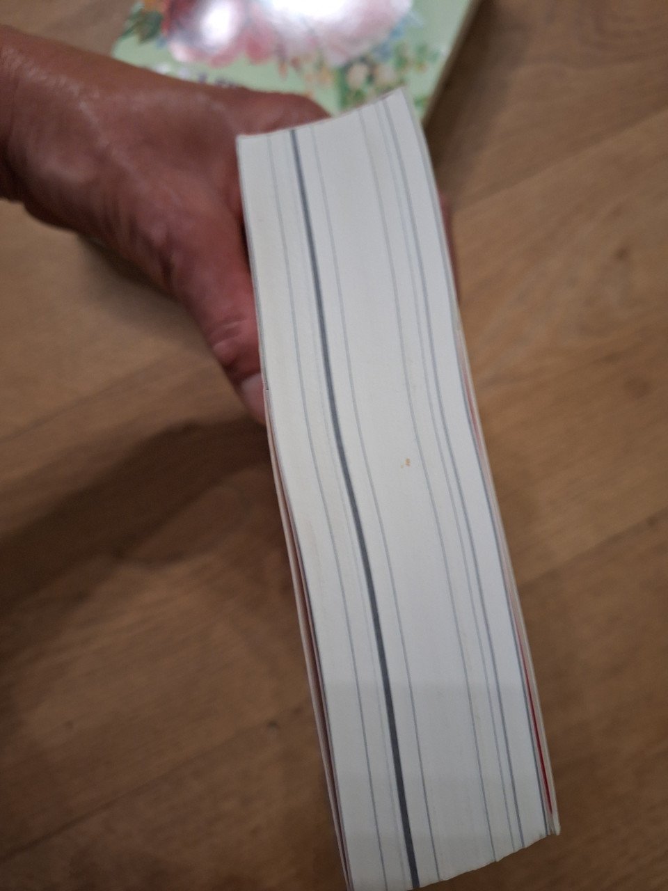 2 boeken Marischa Pessl