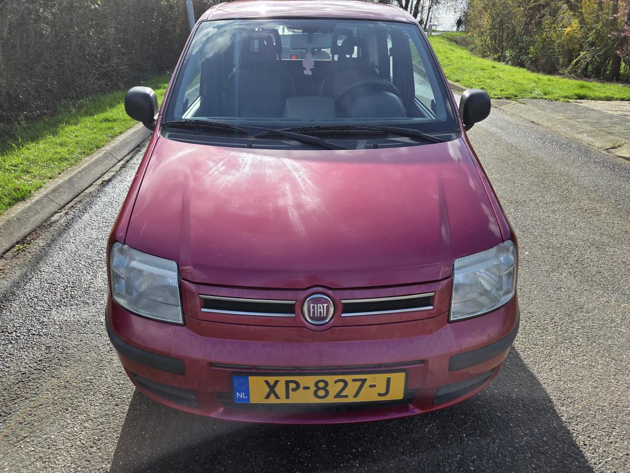 Fiat panda 1.2 edizione cool 2010