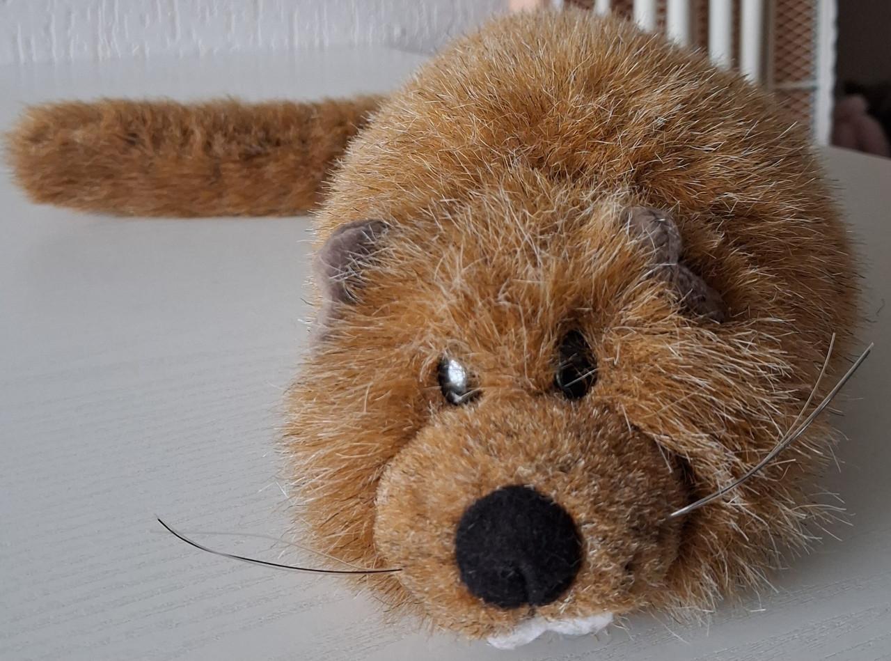 Scoozie pet knuffel met geluid bever wezel fret