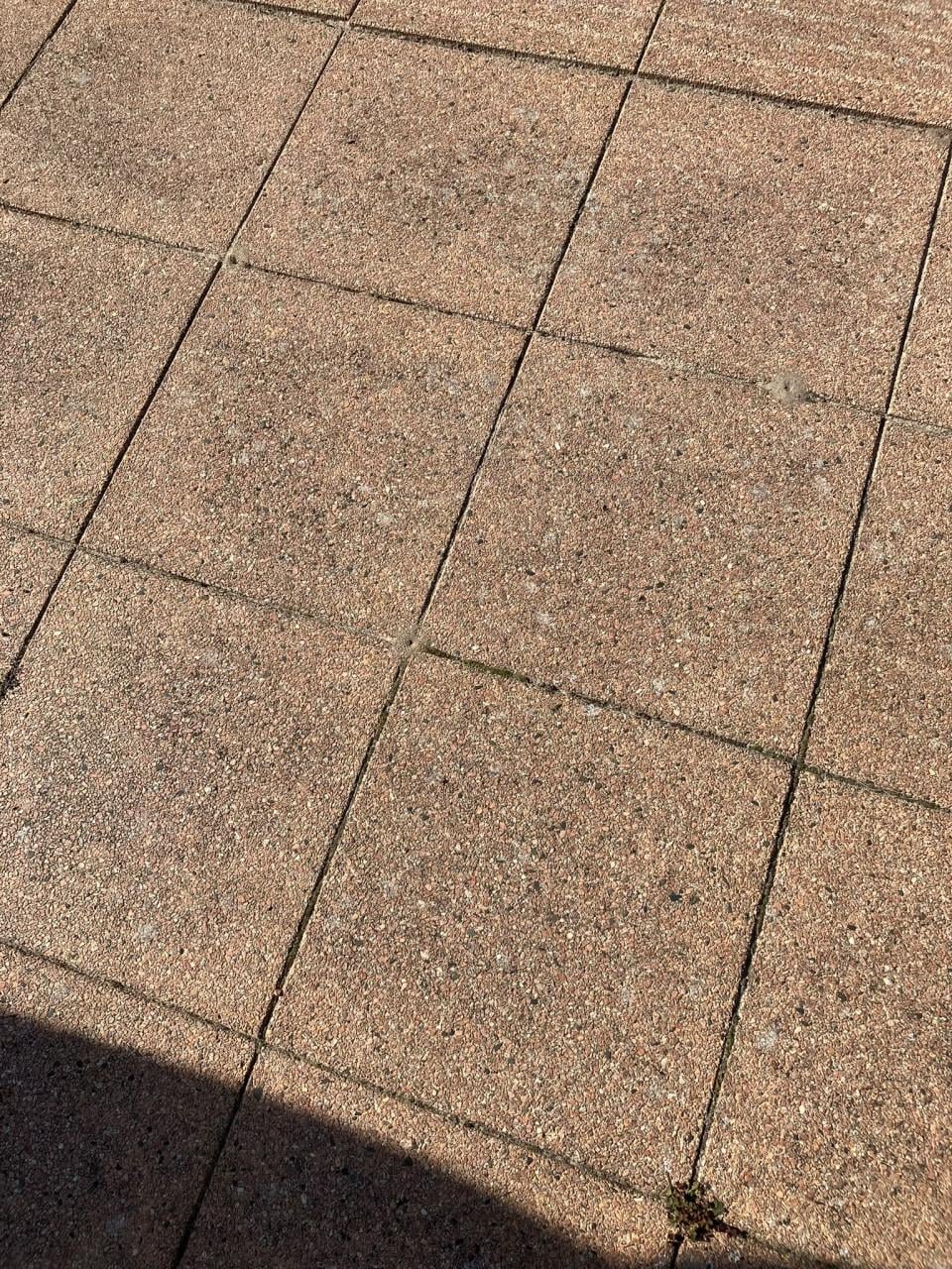 Terrastegels