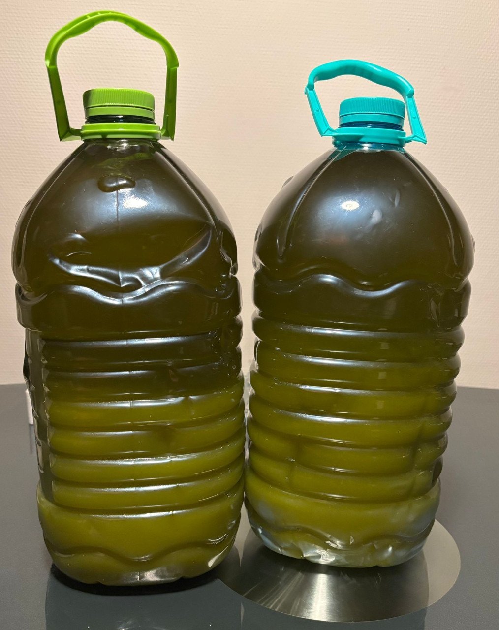 Olijfolie te koop