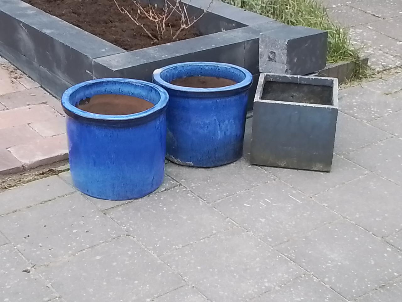 Gratis plantenpotten.