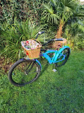 Tiki Beachcruiser, zeer aparte fiets van Phat