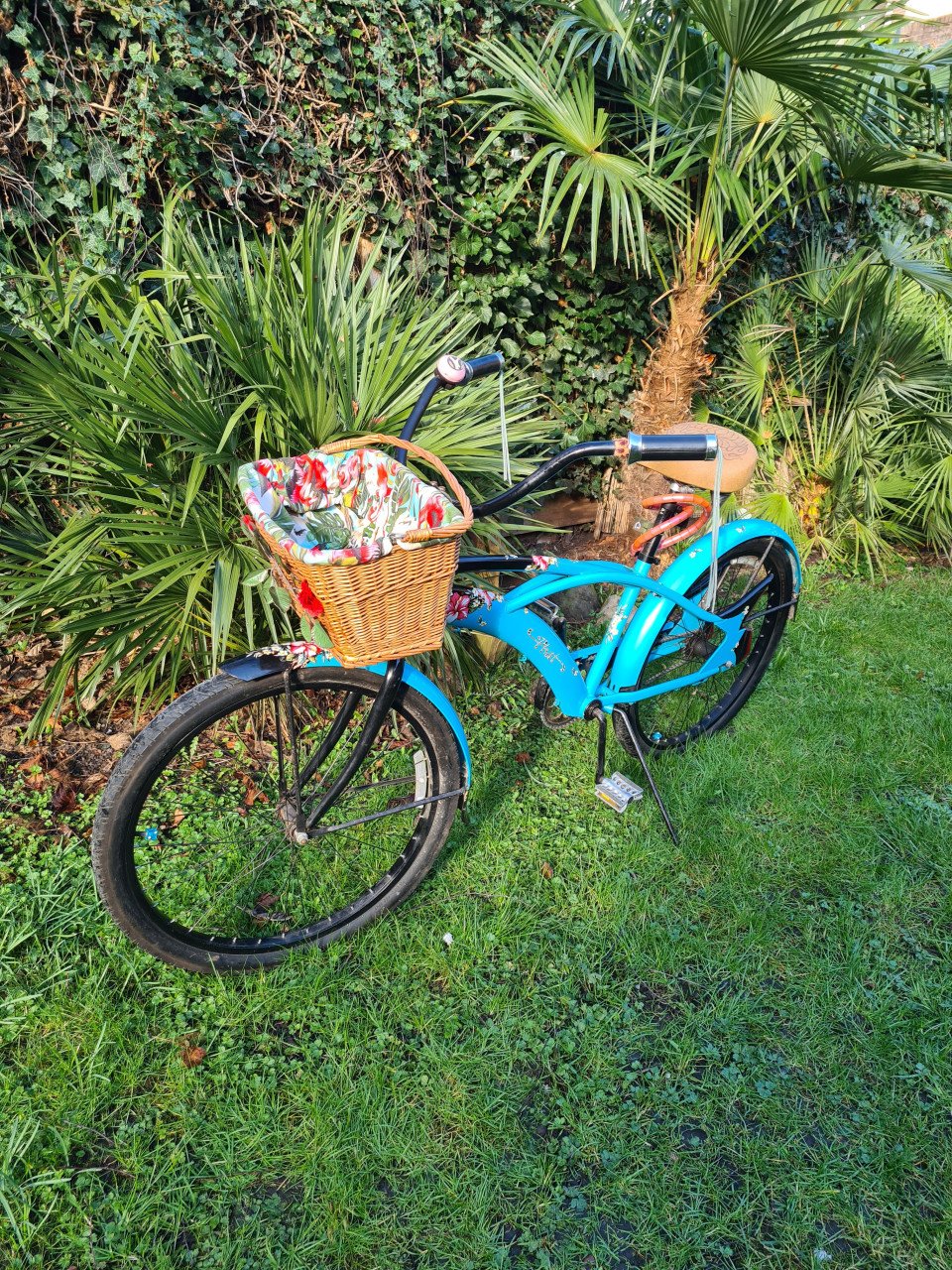 Tiki Beachcruiser, zeer aparte fiets van Phat