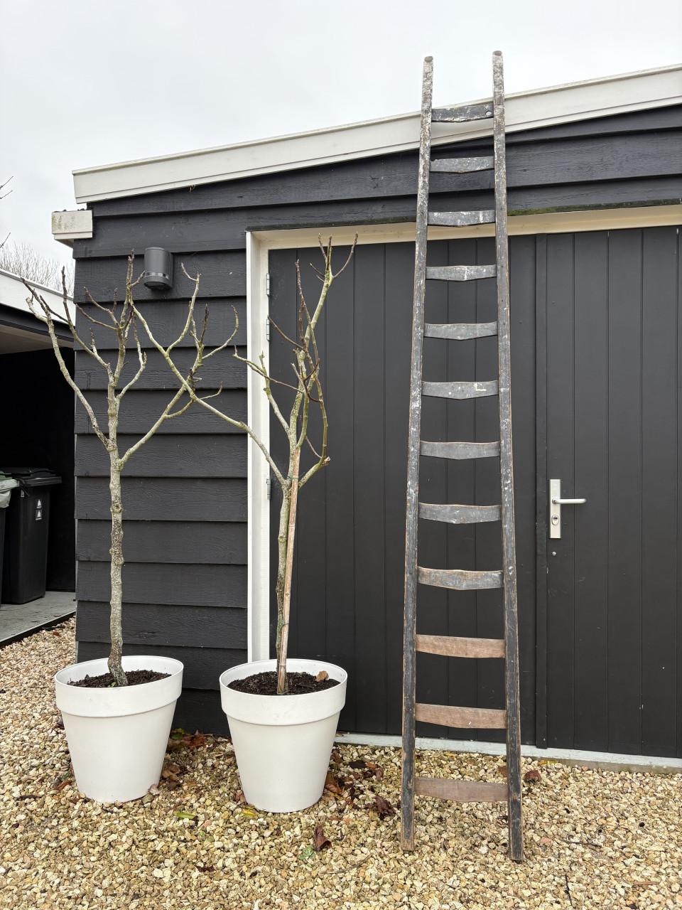 Oude Houten ladder