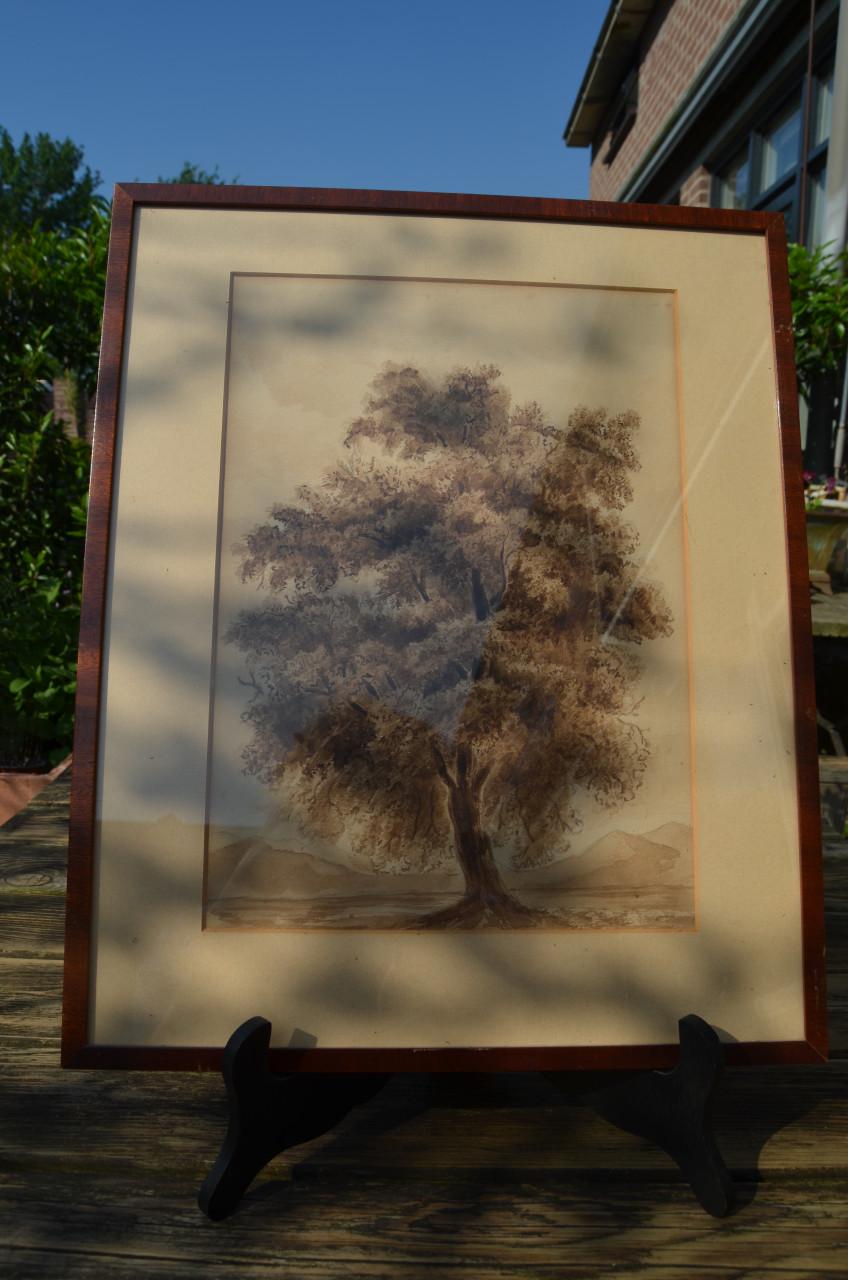 Duitse boom aquarel?