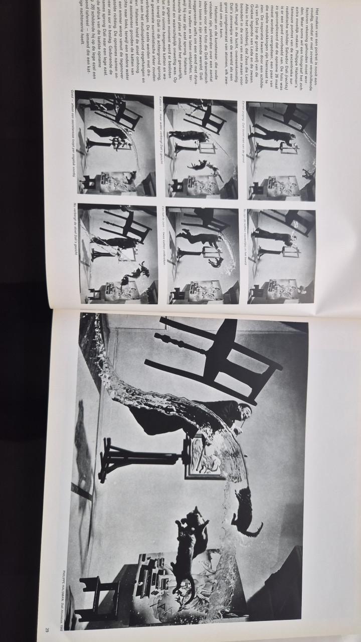 LIFE DE FOTOGRAFIE
