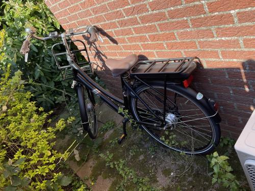 Elektrische transport-fiets Sparta model Pickup