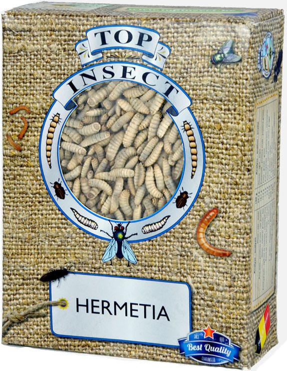 Diepvriesproducten van Topinsect