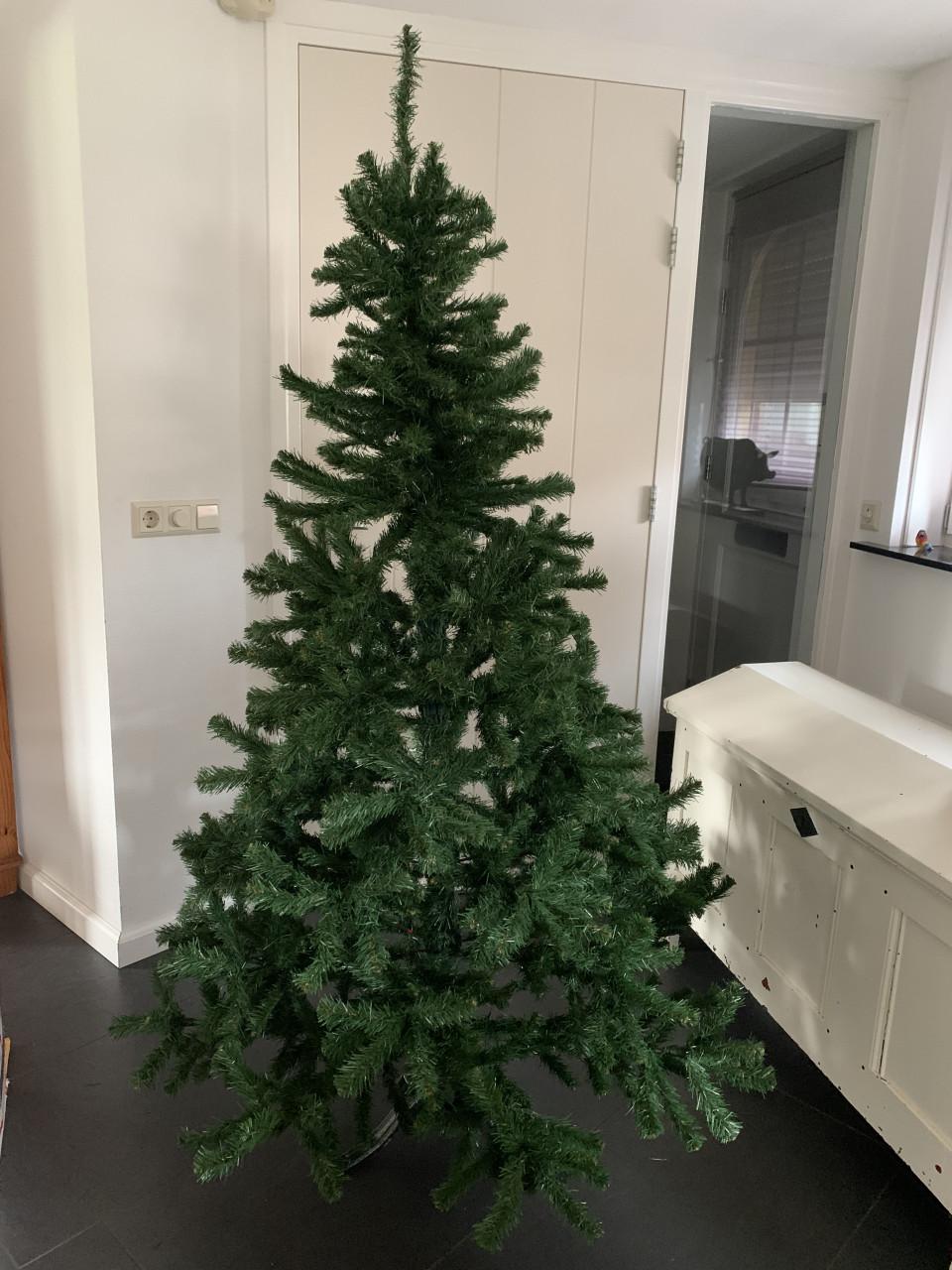 Kerstboom 1.85 m.  Intratuin