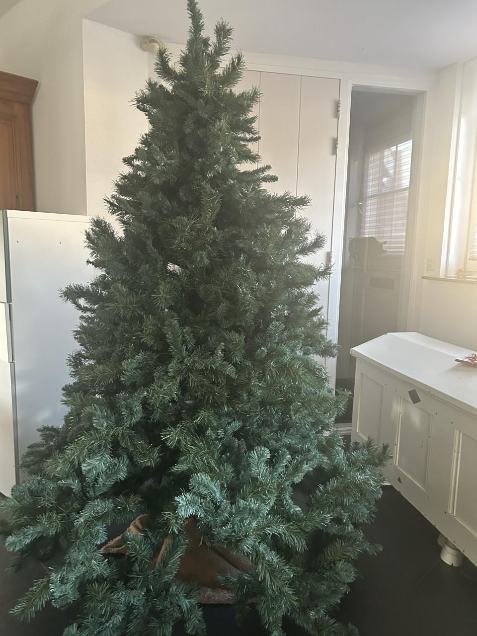 Kerstboom ong 2 meter.